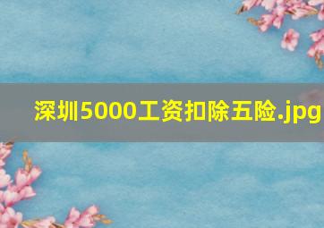 深圳5000工资扣除五险