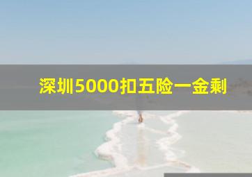 深圳5000扣五险一金剩