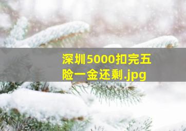深圳5000扣完五险一金还剩
