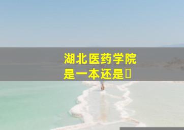 湖北医药学院是一本还是�