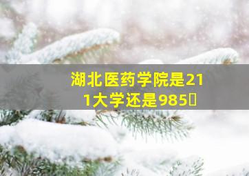 湖北医药学院是211大学还是985�