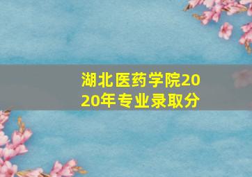 湖北医药学院2020年专业录取分