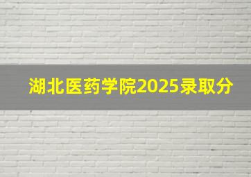 湖北医药学院2025录取分