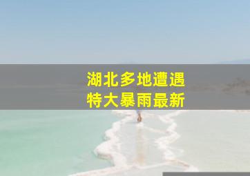 湖北多地遭遇特大暴雨最新
