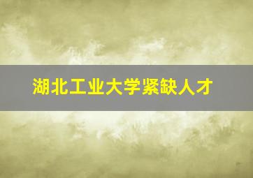 湖北工业大学紧缺人才