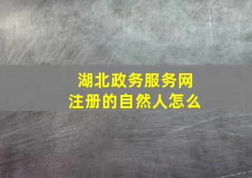 湖北政务服务网注册的自然人怎么
