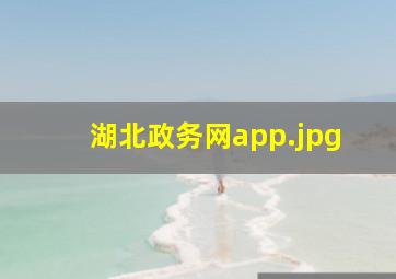 湖北政务网app