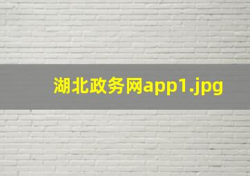 湖北政务网app