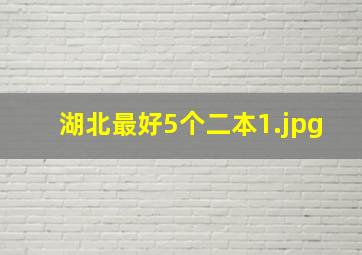 湖北最好5个二本