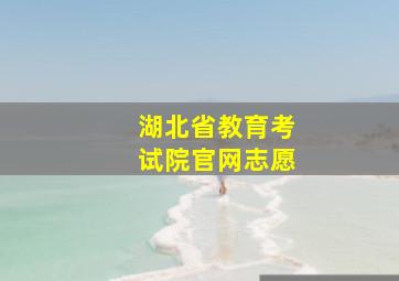 湖北省教育考试院官网志愿