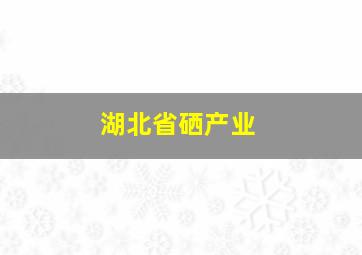 湖北省硒产业