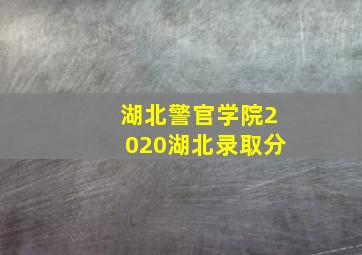 湖北警官学院2020湖北录取分