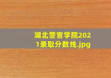 湖北警官学院2021录取分数线