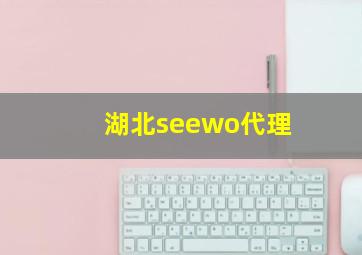 湖北seewo代理