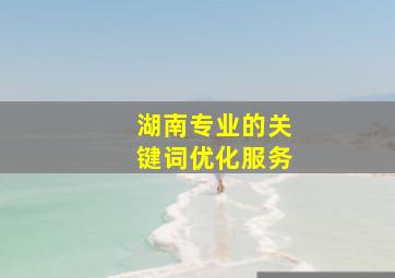 湖南专业的关键词优化服务