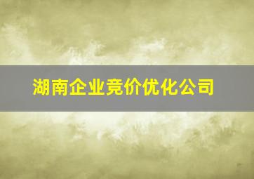 湖南企业竞价优化公司