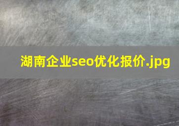 湖南企业seo优化报价