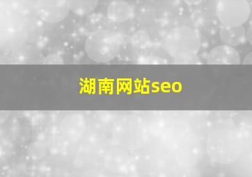 湖南网站seo