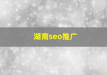 湖南seo推广