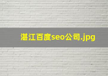 湛江百度seo公司