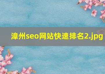 漳州seo网站快速排名