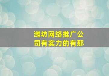 潍坊网络推广公司有实力的有那