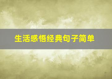生活感悟经典句子简单