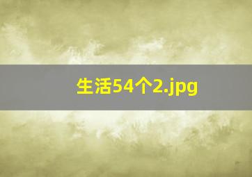 生活54个