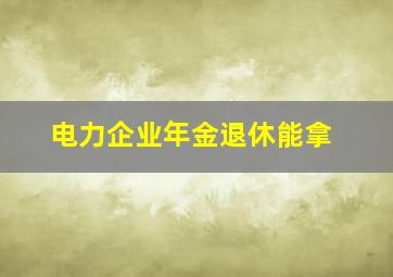 电力企业年金退休能拿