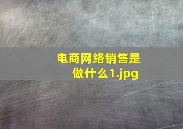 电商网络销售是做什么