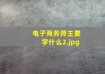 电子商务师主要学什么