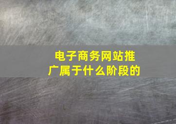电子商务网站推广属于什么阶段的