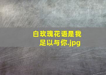 白玫瑰花语是我足以与你