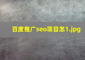 百度推广seo项目怎