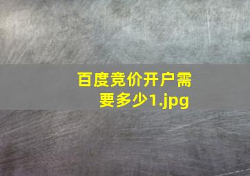 百度竞价开户需要多少
