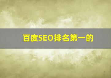 百度SEO排名第一的