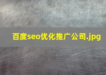 百度seo优化推广公司
