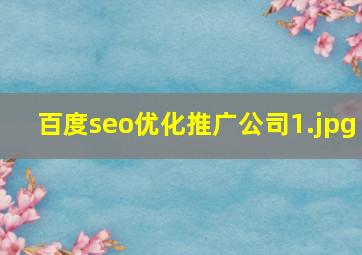 百度seo优化推广公司