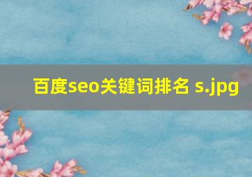 百度seo关键词排名 s