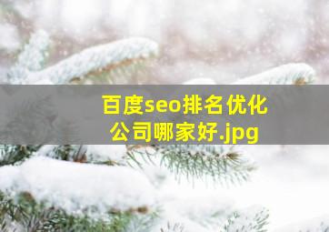 百度seo排名优化公司哪家好