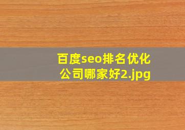 百度seo排名优化公司哪家好
