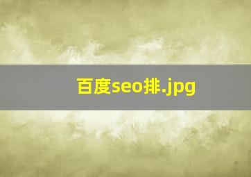 百度seo排