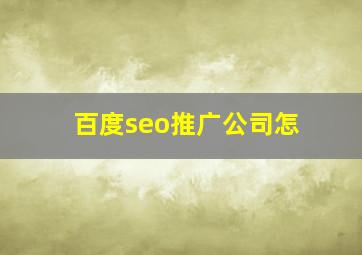 百度seo推广公司怎