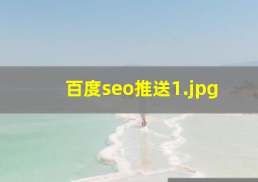 百度seo推送