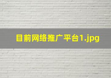 目前网络推广平台