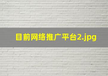 目前网络推广平台
