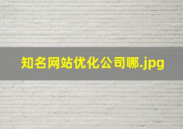 知名网站优化公司哪