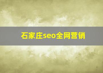 石家庄seo全网营销