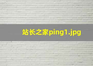 站长之家ping