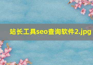 站长工具seo查询软件
